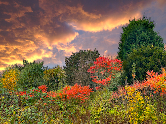 Bunter Herbst